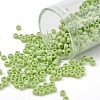 TOHO 8/0 Round Beads X-SEED-TR08-0404F-2