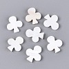 Natural Freshwater Shell Beads BSHE-T014-45-1