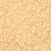 12/0 FGB Grade A Round Glass Seed Beads SEED-Q010-M534-2