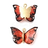 Transparent Resin Pendants PALLOY-K011-02G-03-1