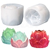 DIY Scented Candle Making Silicone Molds LS-DIY-E055-31-1
