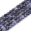 Natural Iolite Beads Strands G-S361-4mm-005-1