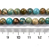 Dyed Natural Regalite/Imperial Jasper/Sea Sediment Jasper Beads Strands X-G-B124-C02-06-3