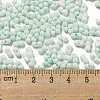 Macaron Color Opaque Frosted Glass Seed Beads X1-SEED-K009-12B-07-4