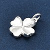 925 Sterling Silver Charms LS-FIND-Z069-04S-C-3
