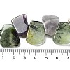 Natural Prehnite & Amethyst Beads Strands G-P528-K08-01-4