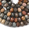 Natural Alashan Agate Bead Strands G-D344-A16-5
