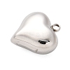 304 Stainless Steel Pendants STAS-Q349-02F-P-2