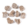 Natural Desert Rose Stone Geode Cornucopia Mineral Specimen G-N360-04B-2