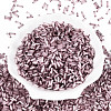 Glass Bugle Beads X-SEED-N007-28B-2