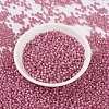 MIYUKI Round Rocailles Beads SEED-X0055-RR0556-2
