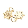 Brass Micro Pave Cubic Zirconia Pendants KK-D019-12G-2
