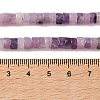 Natural Lepidolite/Purple Mica Stone Beads Strands G-M420-A19-01-5
