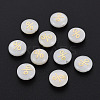 Natural Freshwater Shell Beads LS-SHEL-N003-22-04-1