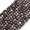 Natural Gemstone Beads Strands G-H067-A01-8mm-2