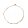 Grade A Natural Pearl Rice Beaded Necklace for Women NJEW-JN03958-1