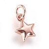 Enamel Brass Charms KK-G364-18-3