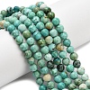 Natural Peruvian Turquoise(Jasper) Beads Strands G-L642-B08-6mm-1