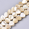 Natural Trochid Shell/Trochus Shell Beads SSHEL-R049-01-1