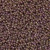 MIYUKI Round Rocailles Beads SEED-G007-RR0301-4