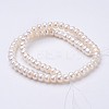 Natural Cultured Freshwater Pearl Beads Strands PEAR-P002-34-01-2