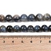 Natural Kyanite/Cyanite/Disthene Beads Strands G-G272-A01-8mm-9