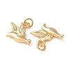 Brass Pendants KK-H297-06G-3