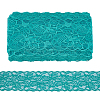 Elastic Lace Trim OCOR-WH0104-05-1