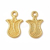 Rack Plating Alloy Charms PALLOY-I215-21G-1