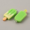 Two Tone Resin Imitation Food Pendants RESI-CJC0006-027B-1