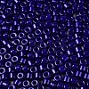 Opaque Baking Paint Glass Seed Beads SEED-T008-02V-3