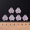 Transparent Acrylic Beads LS-X-MACR-S373-106-D05-5