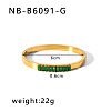 304 Stainless Steel Pave Cubic Zirconia Bangles FS-WG09E60-39-1
