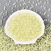 FGB Grade A Transparent Glass Seed Beads SEED-Q040-03A-11-3