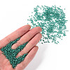 11/0 Grade A Transparent Glass Seed Beads X-SEED-Q007-F50-4