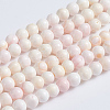 Natural Pink Shell Beads Strands X-SSHEL-L016-18A-1