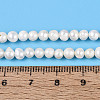 Natural Cultured Freshwater Pearl Beads Strands PEAR-N013-04G-5