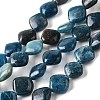 Natural Apatite Beads Strands G-Q026-D01-01-1