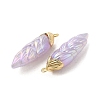 Rainbow Iridescent Plating Resin Pendants LS-RESI-C047-03E-G-2