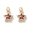 Brass Cubic Zirconia Charms FIND-Z005-02D-1