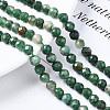 Natural Emerald Quartz Beads Strands X-G-T108-63-4