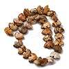Natural Picture Jasper Beads Strands G-F783-G03-01-6