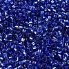 Glass Seed Beads SEED-S042-04A-14-3