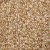 12/0 FGB Grade A Round Glass Seed Beads X-SEED-Q011-F504-2