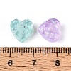 Transparent Resin Beads RESI-N048-04-3