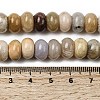 Natural Fossil Coral Beads Strands G-A280-A08-03-5