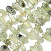 Natural Prehnite Beads Strands G-P604-A02-01-2