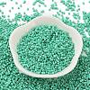 Baking Paint Glass Seed Beads SEED-S042-05B-60-2