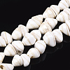 Natural Spiral Shell Beads Strands X-SHEL-T011-05-1