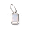 925 Sterling Silver Cubic Zirconia Charms STER-NH0014-01P-06-1